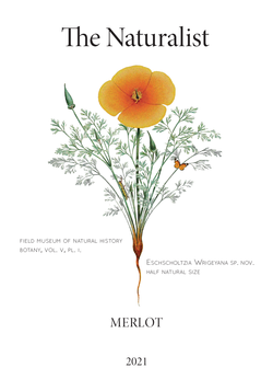 2021 Merlot - The Naturalist - Coquelicot